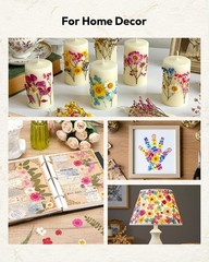 Blossom Pressed Dried Resin Flowers 100Pcs Natural Real Dried Flower Craft