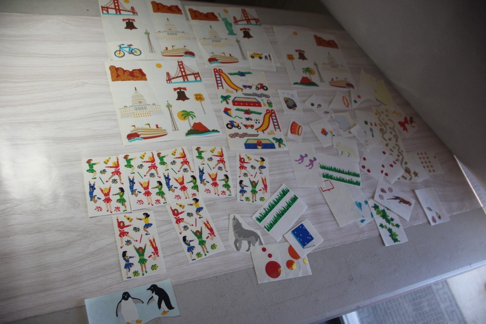 Mrs. Grossman’s Stickers & other animals Cheerleader grass Bike School City Lot