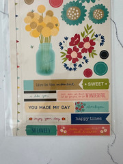 Pebbles Accent & Phrase Stickers Flowers Butterflies Enjoy Hello Scrapbooking
