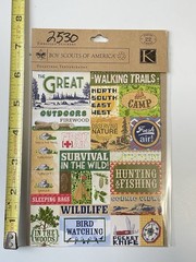 K & Company Stickers BOY SCOUTS AMERICA Outdoor Camping Survival BSA 30-570245
