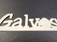 Galveston Texas Sand Dollar Laser Cut Die Cut Cardstock Scrapbook Paper Craft
