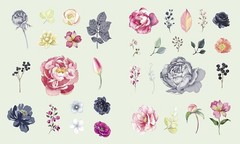 Sticker Studio: Flora: A Sticker Gallery of Beautiful Blooms Hardcover