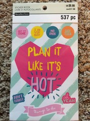 Plan It Like Its Hot Sticker Book By Recollections™ 537 New