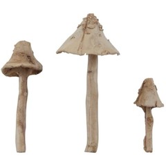 Tim Holtz Idea-ology Resin Toadstools Mushrooms 3 Sizes 1 1/4 – 2 1/2″