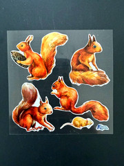 Violette Stickers Squirrels Crafts Planner Supply Scrapbook