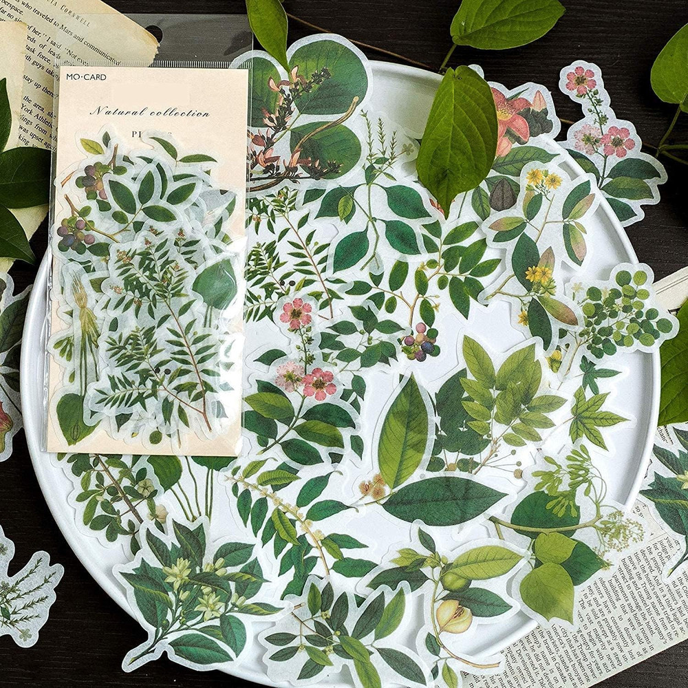 60Pcs Scrapbooking Stickers, DIY Decorative Green Plants Set Stickers for Lapto