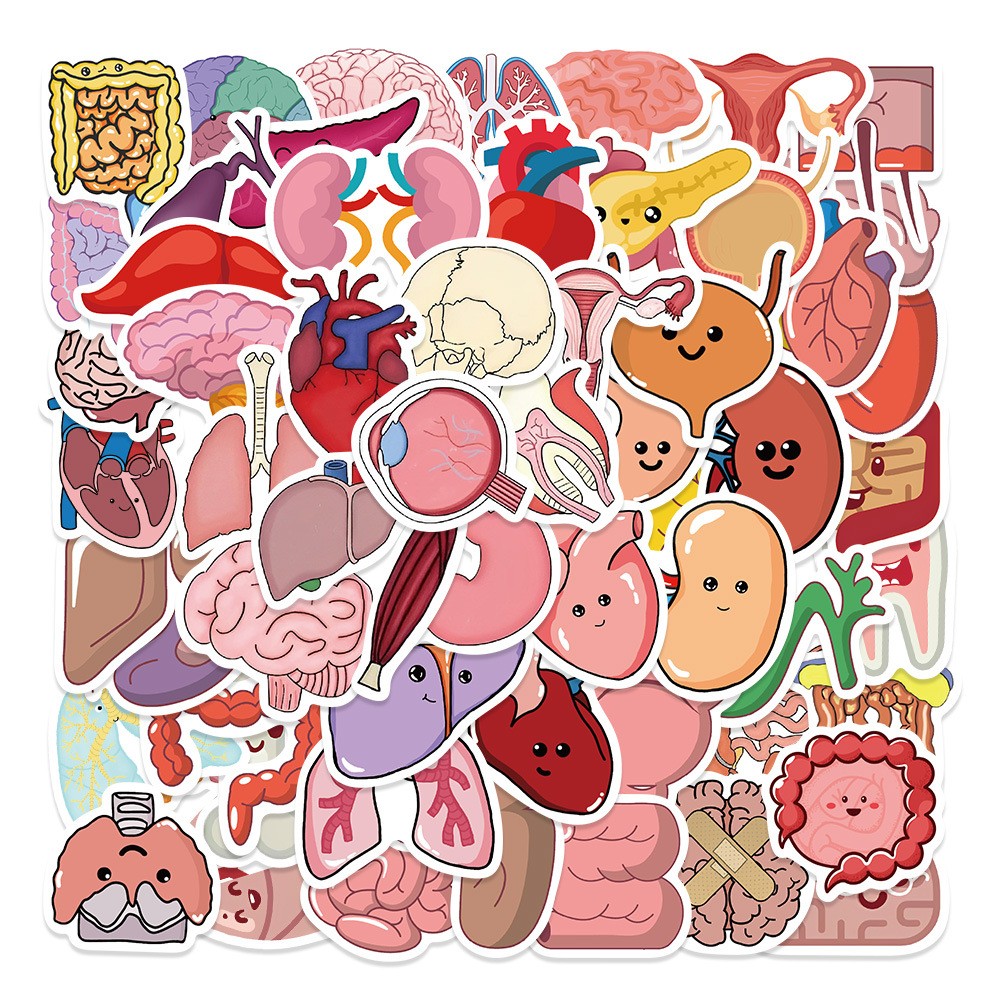 65Pcs Cartoon Colorful Heart Brain Organ Doodle Stickers – Luggage/Fridge/Notebo
