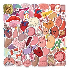 65Pcs Cartoon Colorful Heart Brain Organ Doodle Stickers – Luggage/Fridge/Notebo
