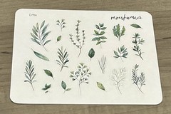 NEW Paper Kuma Co Floral Sticker Sheet PaperKumaCo Stickers