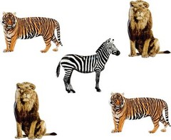 Eyelet Outlet Shape Brads 12/Pkg Zebra, Lion & Tiger