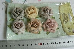 Winter Rose Marble Ice – Paper with Glitter – 6 Varied Colours 35-37mm Prima 17M