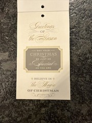 Anna Griffin Winter Wonderland Vellum Quote Stickers Used