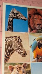 Vintage Gibson Stickers Animals Flying Polar Bear Giraffe Panda 1 Sheet READ