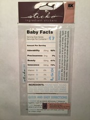 Vintage Sticko Flat Ingredient Stickers BABY BOY Theme 64278 Fast FREE Shipping!