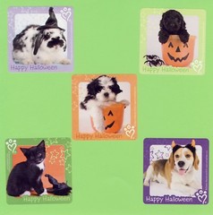 10 Rachael Hale Halloween – Large Stickers – Bunny Rabbit, Puppy Dog, Kitten
