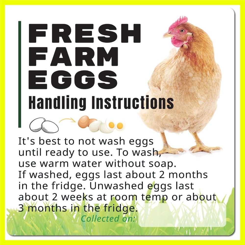 100 Pack Fresh Farm Eggs Handling Instructions Stickers Labels Care Accessor…