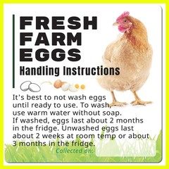 100 Pack Fresh Farm Eggs Handling Instructions Stickers Labels Care Accessor…