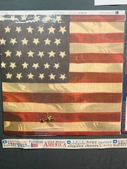 Patriotic Scrapbook Paper Craft Lot 12×12 July 4th USA Layout Stickers Embellish