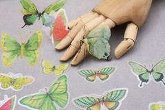 Butterfly sticker | butterflies nature green insect themed PET plastic