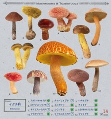 Mushrooms Stickers Book 238 Stickers Shogakkan Encyclopedia NEO Japan NEW