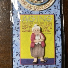 Mary Engelbreit Dimensional Stickers – Punch Studio 33396