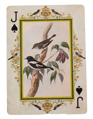 Vintage Bird Illustrations John James Audubon Junk Journal Scrapbook Crafts SK