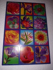 Vintage American Greetings Stickers Flowers 4 sheets new in package