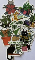 MANY CATS & PLANT ASSORTMENT Stickers(6pc)Kitten•Meow •Floral•Hiding•Peeking•Pet