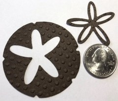 LG. SAND DOLLAR Die-Cuts(6pc)Beach •Shells•Ocean•Star•Sea•Shore•Sand Creatures