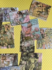 Fairies Pixies Fae Sticker Kit Scrapbooking Junk Journal Kit Planner Collage