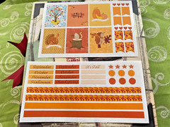 Scrapbooking Embellishment Erin Condren Planner Autumn Fall Harvest Stickers