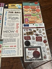 Lot Of 5 Cat Kitten Pet Animal Dimensional Stickers