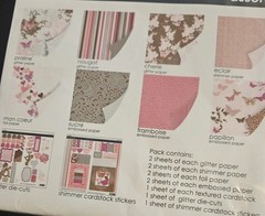 sei ‘Jolie Chocolat Assortment Pack Scrapbk Papers 24 Sheets Stickers 12×12 NEW
