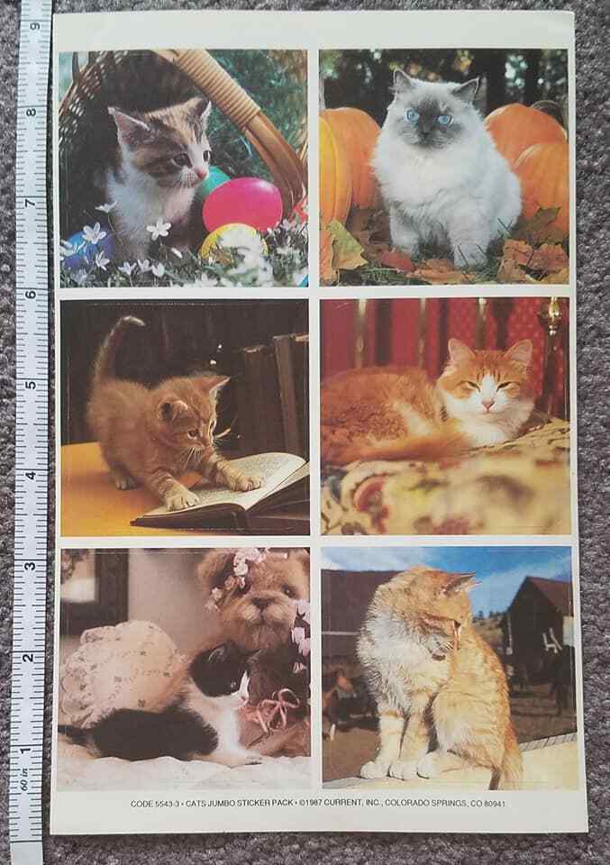 1987 CURRENT vintage sticker sheet Cats Jumbo Photographs LARGE 5 3/4″ x 9″