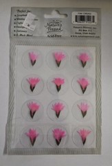 Nature’s Pressed Real Pressed Flower Stickers, PINK CORSAGE, NIP