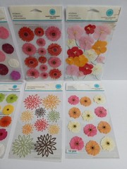 Scrapbooking Sticker Lot of 10 Packages Zinnia Poppy Flowers Dimensional NEW a)