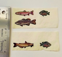 VINTAGE Bass Pro Shop Fish Vinyl Puffy Fishing Stickers for Adult Teen Travel