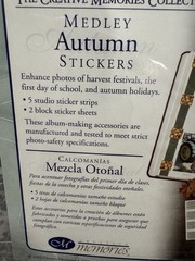 Creative Memories Autumn Medley Stickers – 2003 – Made In The USA