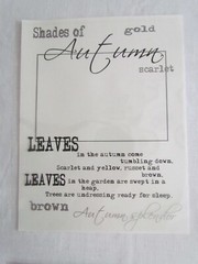 Scrapbooking Transparency Overlay 6pc Halloween Autumn Fall Zoo Pumpkin LOT E