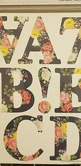 The Paper Studio PETALS & BLOOMS Floral Alpha – Navy, Large, 8 Sheets