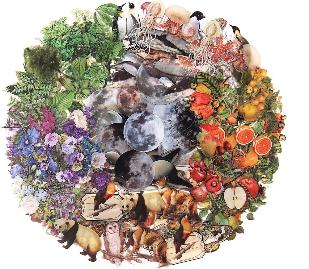 Nature Themed Transparent Pre-Cut Stickers for Scrapbooking, Pack Multicolor