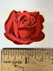 3M All About Series Scratch and Sniff ROSE Label/Sticker NOS Vintage 1974