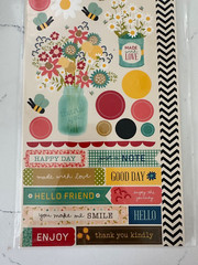 Pebbles Accent & Phrase Stickers Flowers Butterflies Enjoy Hello Scrapbooking