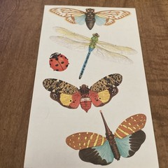 mrs. grossman’s stickers Insects Rare Big Dragonfly Moth Studio Life Ladybug