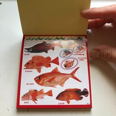 FISH Japanese Stickers book 274 stickers Shogakkan NEO Book Series
