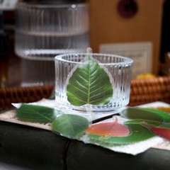 Dried Pressed PET Leaves Stickers 40PCS Maple Ginkgo Leaf Scrapbooking Diary DIY