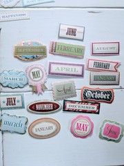 Lot 115+ Anna Griffin Scrapbooking Paper Embellishments Floral Die Cut Paper