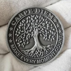 Artfully Sculpted Memento Mori Medallion A Stoic Spiritual Skull Challenge Co…