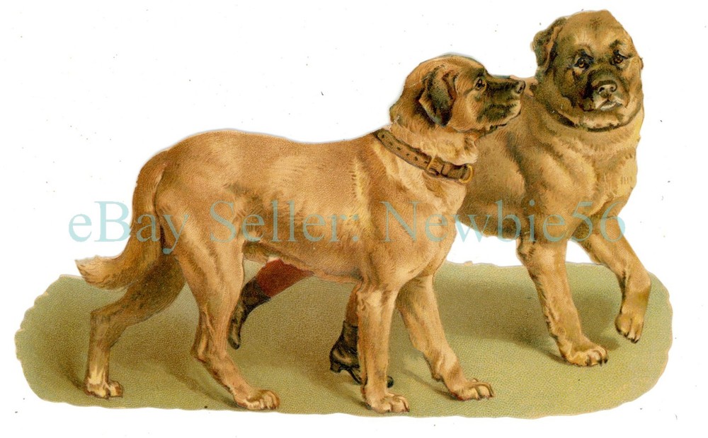 Victorian Die-Cut – ENGLISH MASTIFF DOGS – Large Chromolithograph Scrapbooking