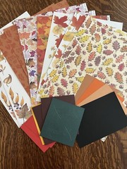 FALL Scrapbook Paper, Leaf Punch Out Die Cuts And Autumn Card-Stock (19pcs)